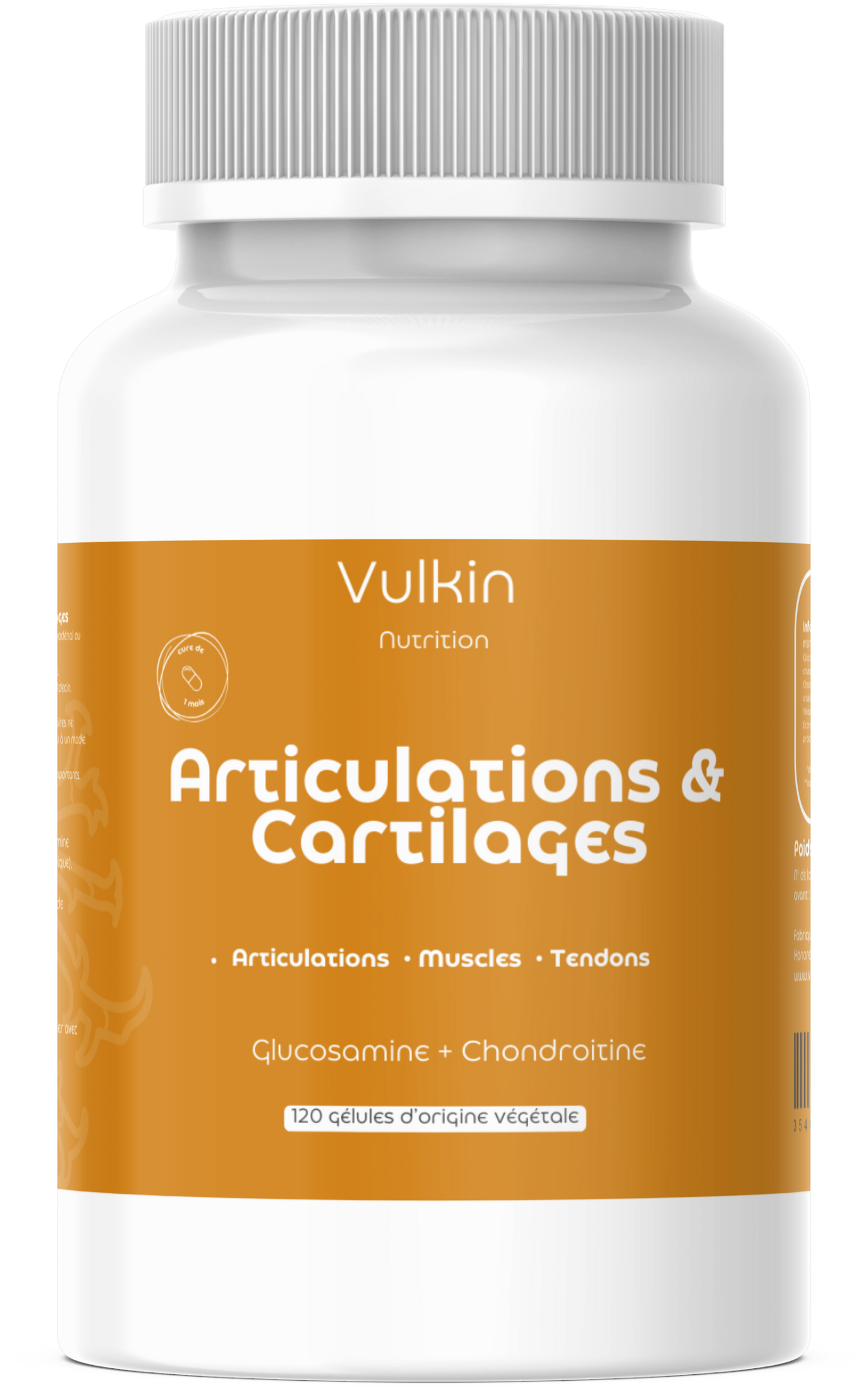 ARTICULATIONS & CARTILAGES